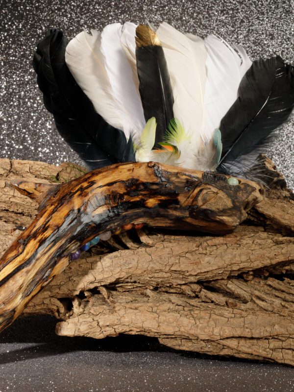 2025-moles-VBP_6417 Ventaglio da fumigazione artigianale