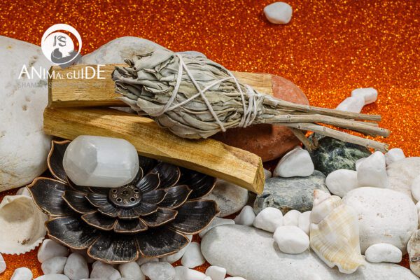 VBP_2893-Modifica kit di purificazione energetica