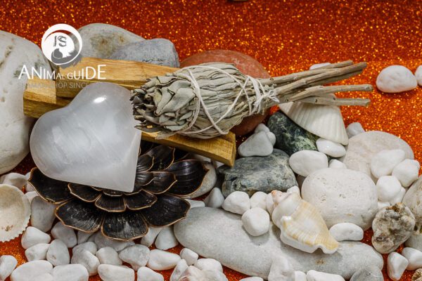 kit di purificazione energetica