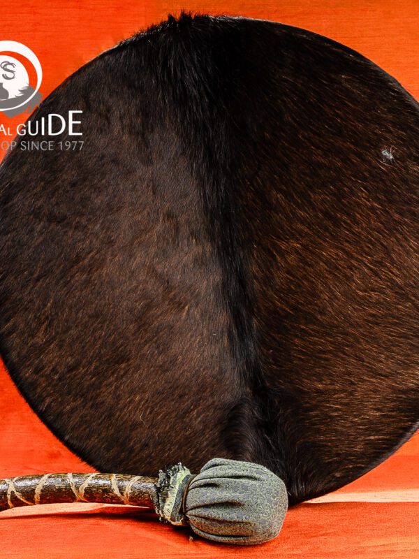 VBP_2960-Modifica Tamburo sciamanico