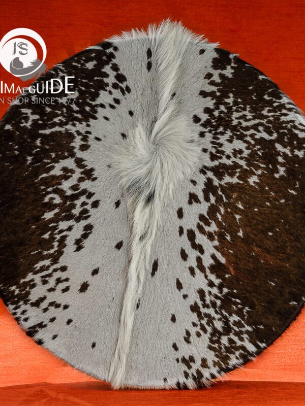 VBP_2966-Modifica-2 Tamburo Sciamanico