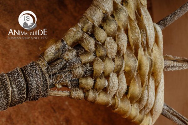 VBP_2986 Tamburo Sciamanico