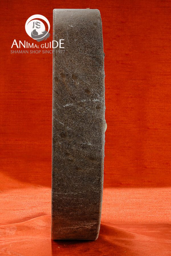 VBP_2988-Modifica Tamburo Sciamanico